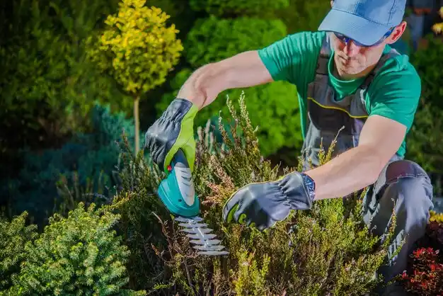 landscaping services Gunnison